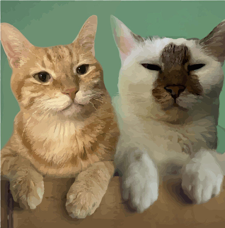 貓咪健康紀錄簿 Micords